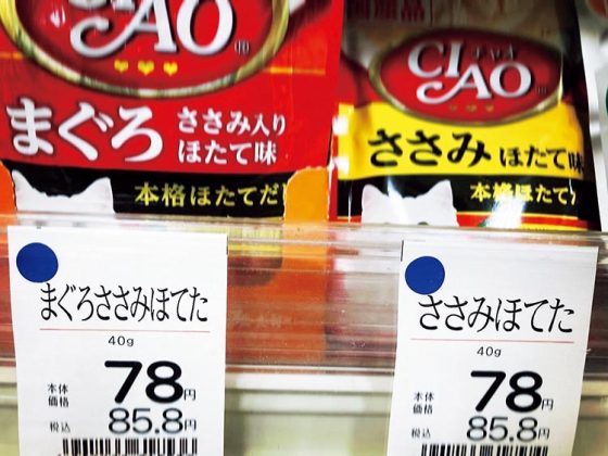 「新種の貝……?!」【VOW／笑える画像】