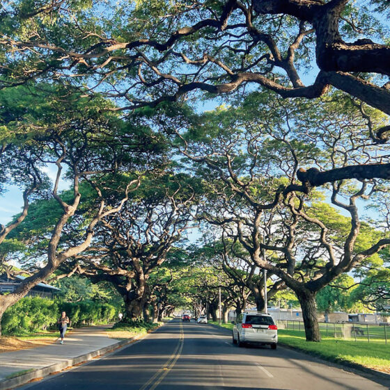 動詞“turn”の使いかたを学ぼう！【ハワイのマキさんが教えるGirls English】