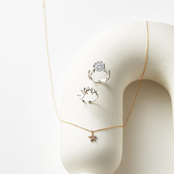 毎日身に纏いたい。最新【ステディジュエリー】