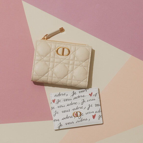 【DIOR】10万円以内で買える！ときめく最新レザーグッズ