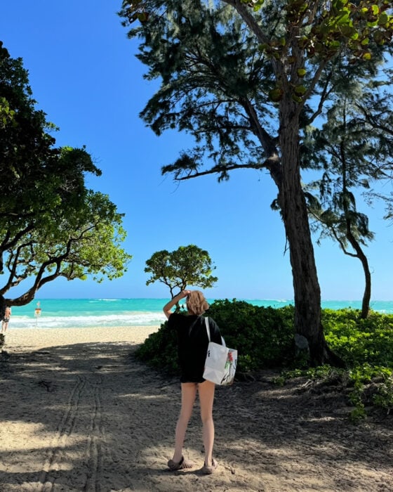 【2025年最新版】行ってよかった！ハワイのおすすめスポットを厳選【sweet lovers】