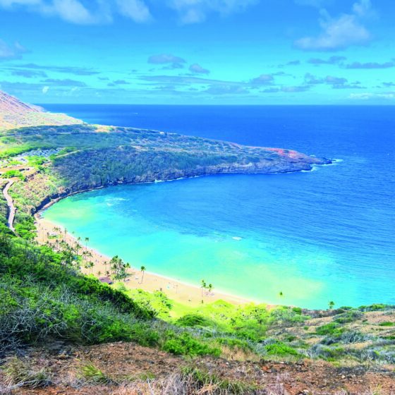 英語で失礼なく断りたい！やんわり「NO」を伝えるフレーズ【ハワイのマキさんが教えるGirl’s English】