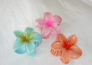 紗栄子のケンカメ