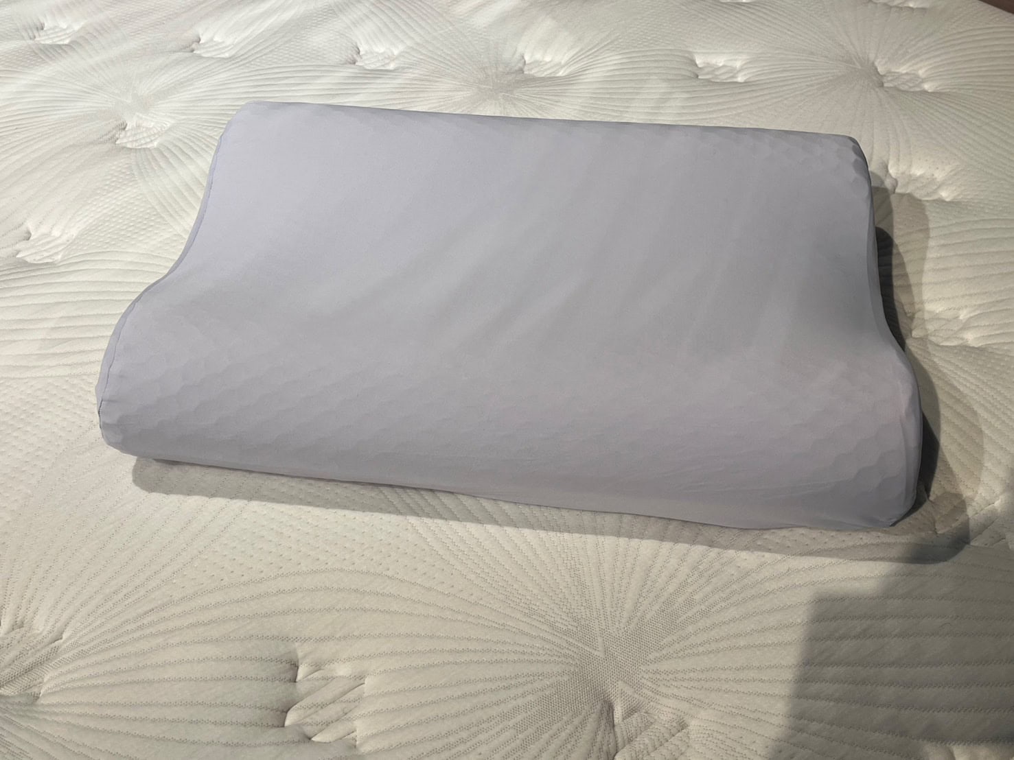 ズカンピロー<ZUKAN PILLOW>