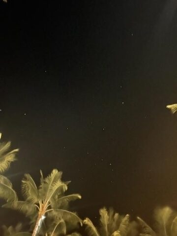 プールからみた夜空