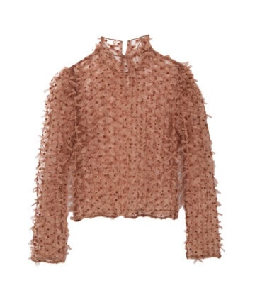 八木アリサとシースルー