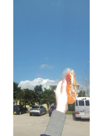 石垣島B級グルメ「オニササ」