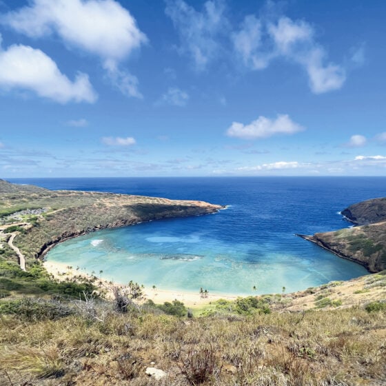 英語で「最近どうしてた？」と近況を聞きたい！【ハワイのマキさんが教えるGirl’s English】