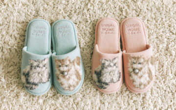 ミチとスナイデルホーム