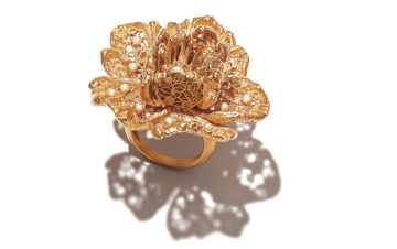 スターブランド　ディオール