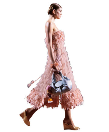 スターブランド　フェンディ