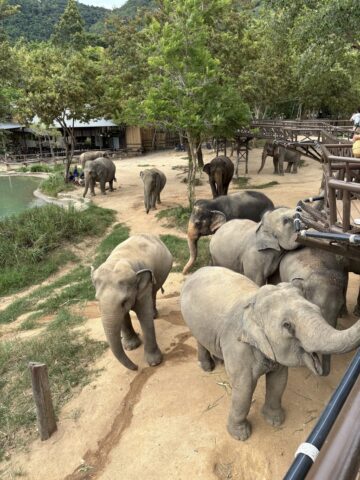 サムイゾウ王国