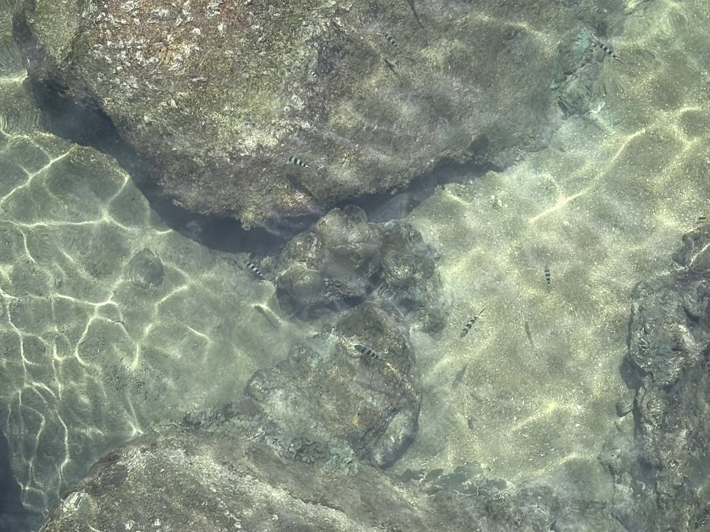 タイ　タオ島