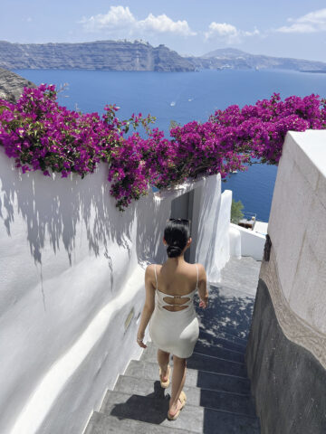 ミチの夏の思い出