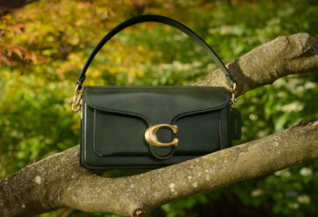 コーチ　タビー