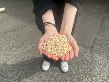 養老渓谷駅のポン菓子