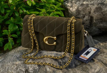 コーチ　タビー