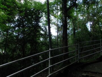 観音橋への景色