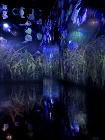 チームラボ《内に秘めた輝き》