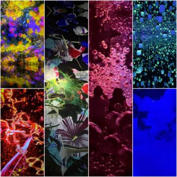 チームラボ バイオヴォルテックス 京都