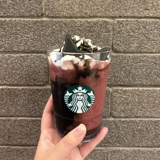 【スタバ新作レポ】ハロウィン気分を楽しむ♡“黒猫フラペチーノ®”ほか、気になるビバレッジ＆フードを体験！