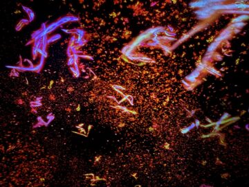 チームラボ《永遠の祈りの宇宙》