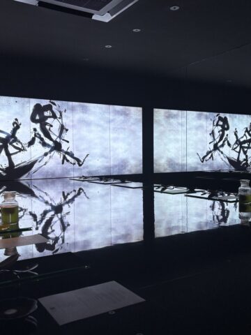 チームラボ《反転無分別 - Black in White》