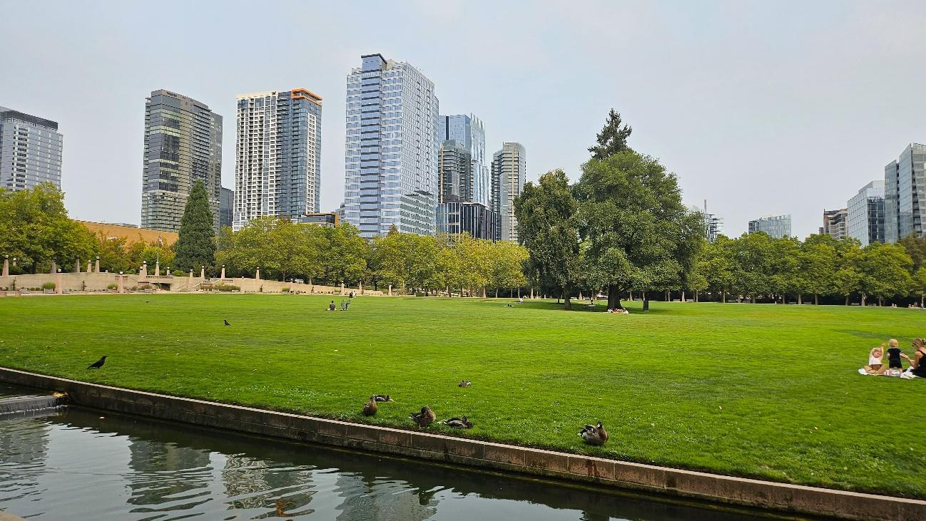 ベルビューの公園