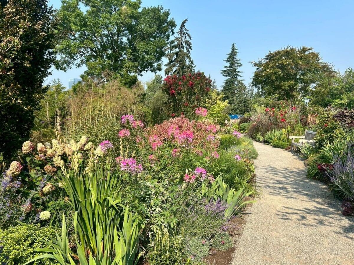 ベルビュー植物園の植物