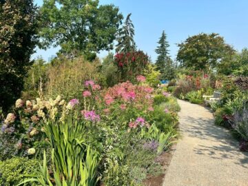 ベルビュー植物園の植物
