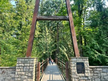 ベルビュー植物園のつり橋