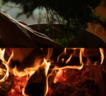 SHIRO運営のレストランMORISHIRO（モリシロ）