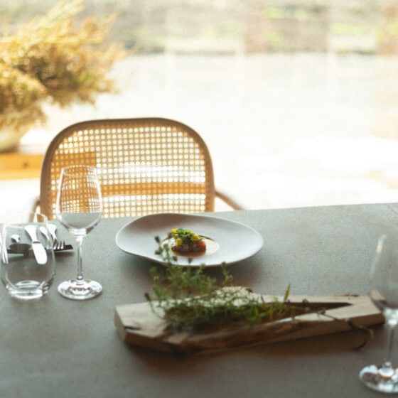 【北海道】香りを食べる。SHIRO運営のレストラン『MORISHIRO』がオープン【BEAUTY BUZZ】