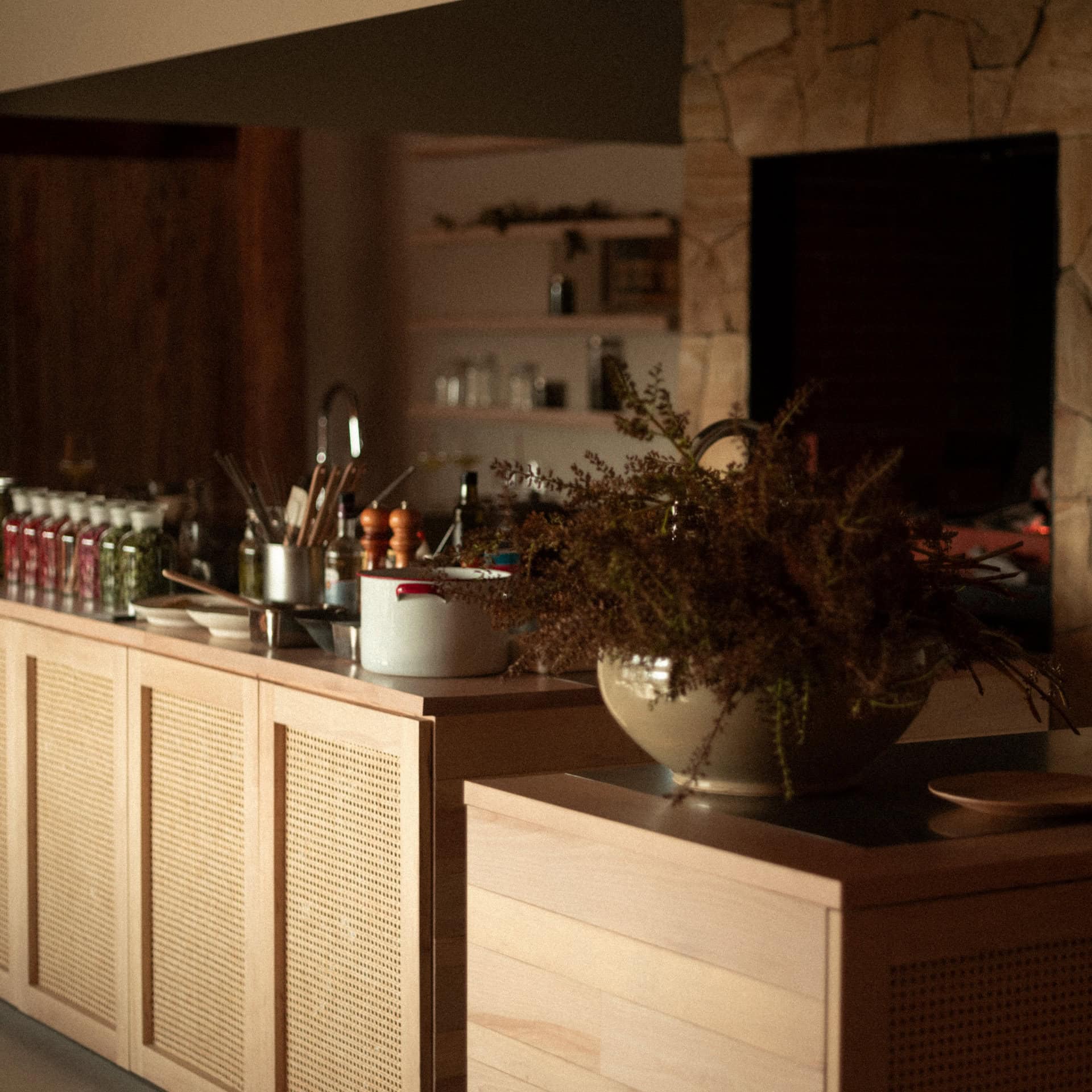 SHIRO運営のレストランMORISHIRO（モリシロ）