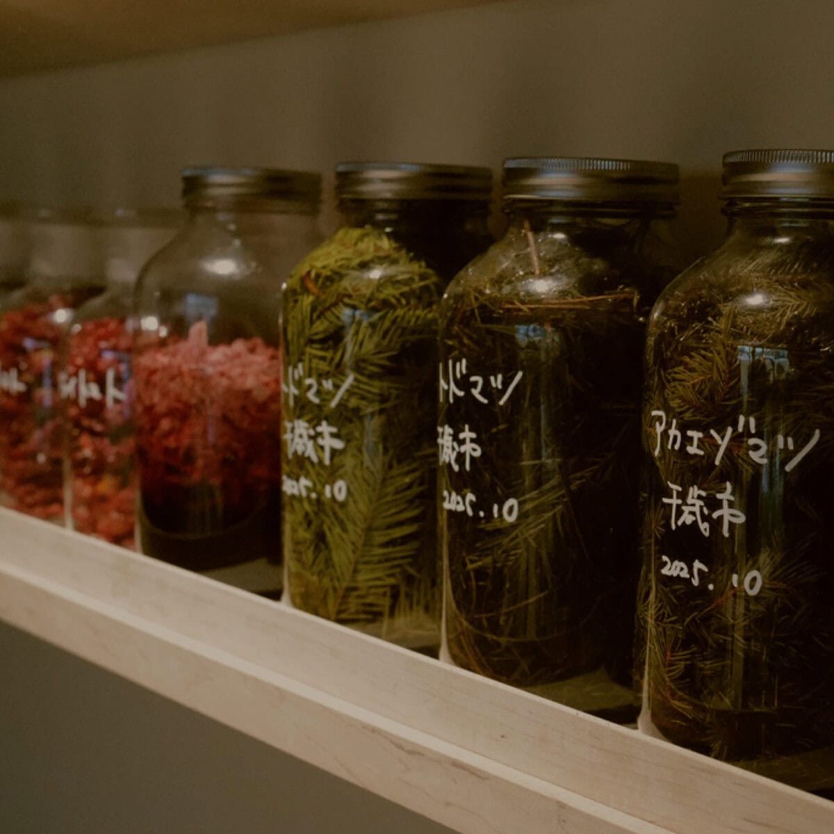 SHIRO運営のレストランMORISHIRO(モリシロ)