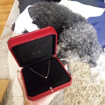 釘本亜美の宝物