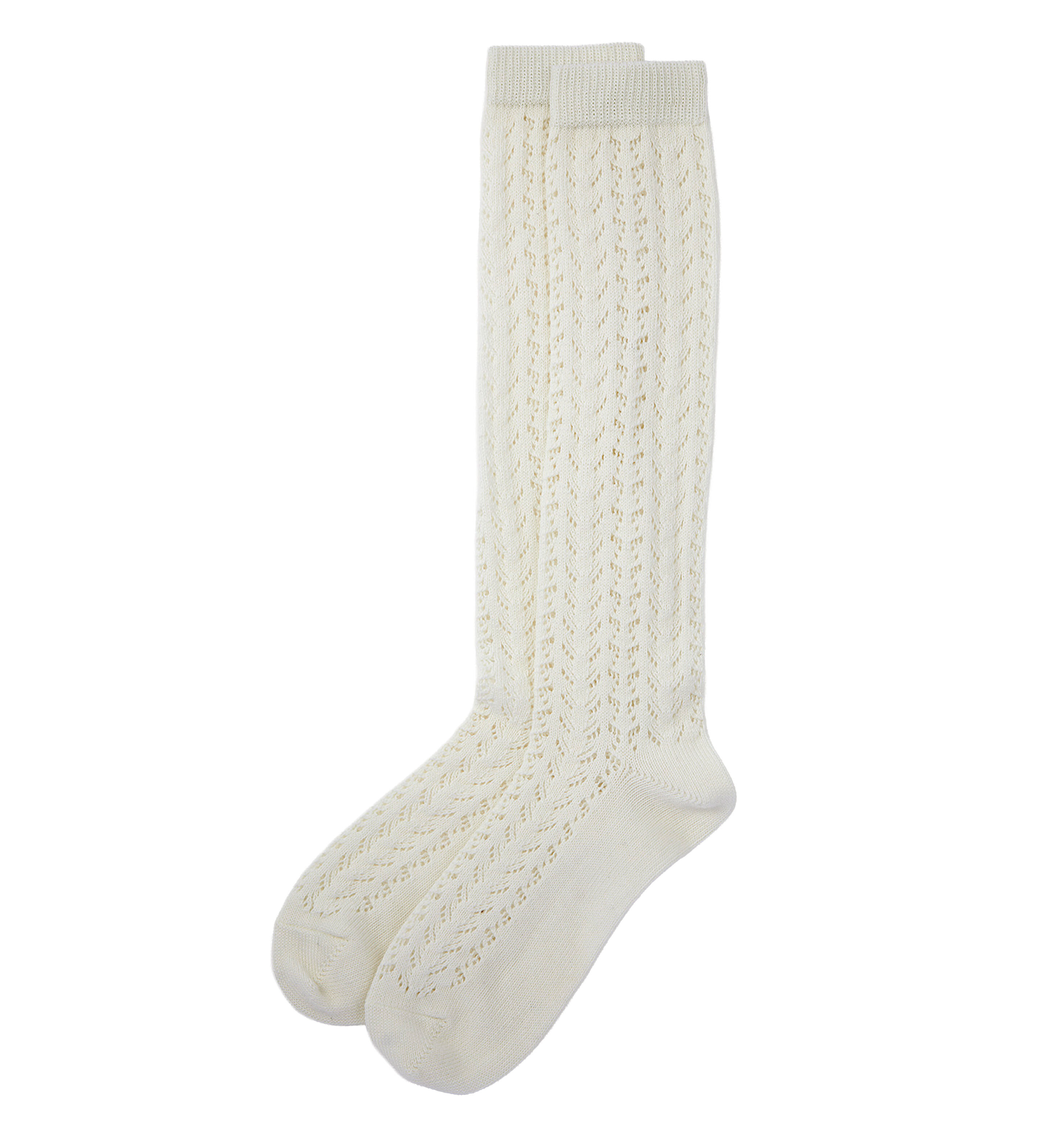 先っちょフェミニン