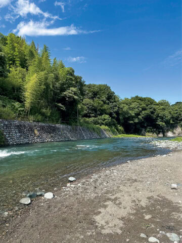 相模原の道志川