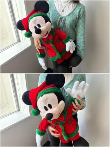 DISNEY クリスマス オーナメントくじ 2025　Last賞　BIG! スタンディングぬいぐるみ