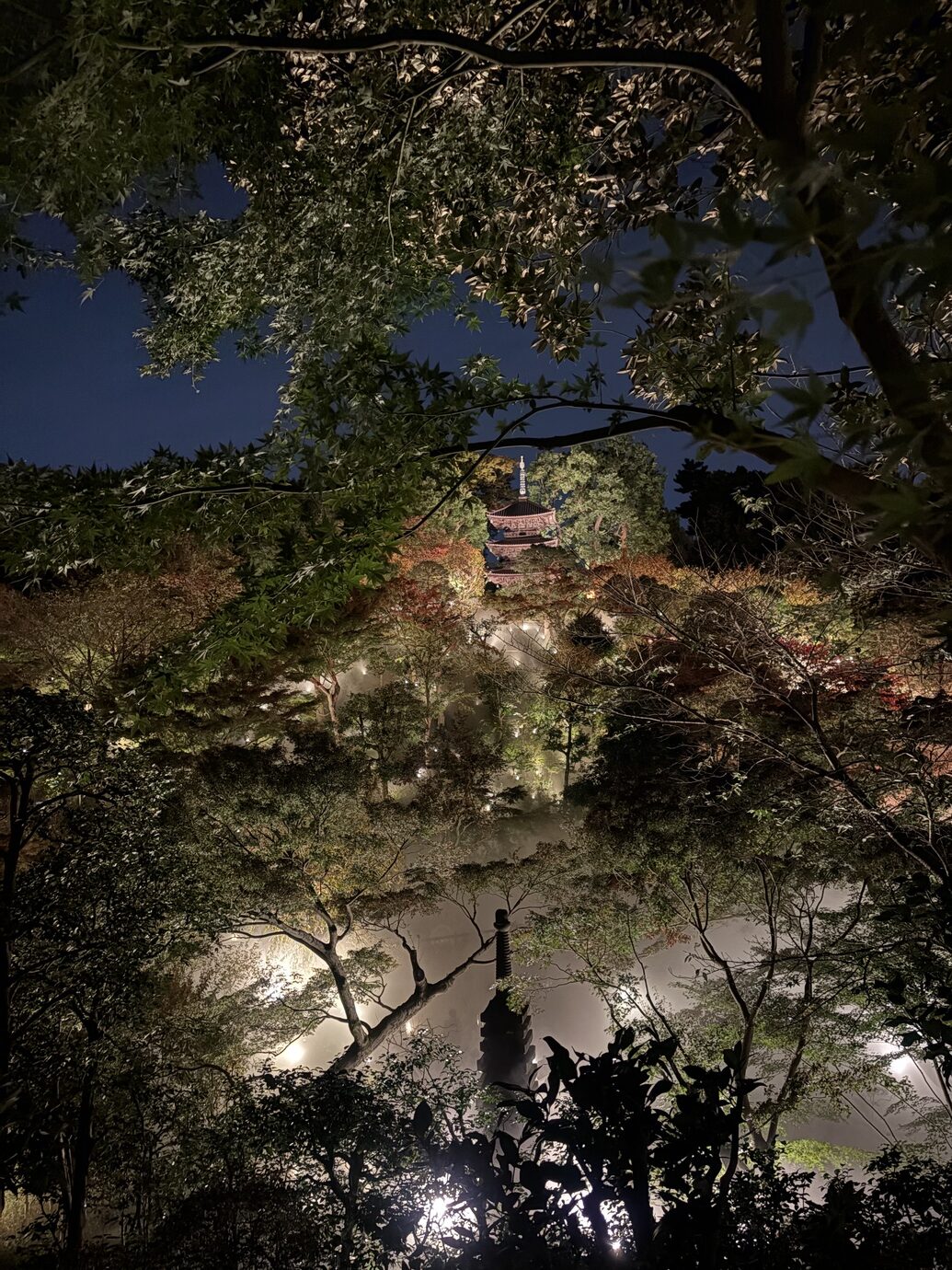 ホテル椿山荘東京 庭園内 幽翠池