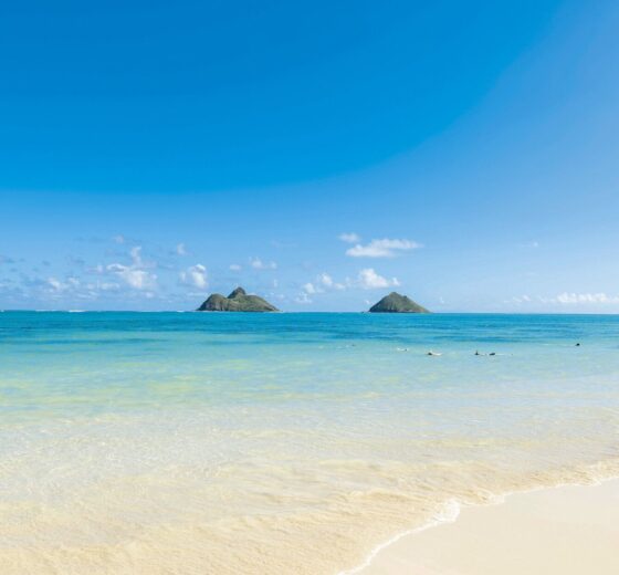 英語で「（どうなるか）分からないよ！」と言いたい！【ハワイのマキさんが教えるGirl’s English！】