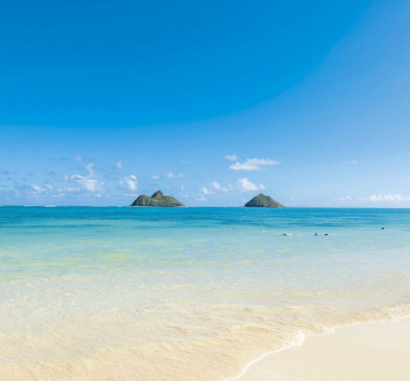 英語で「（どうなるか）分からないよ！」と言いたい！【ハワイのマキさんが教えるGirl’s English！】