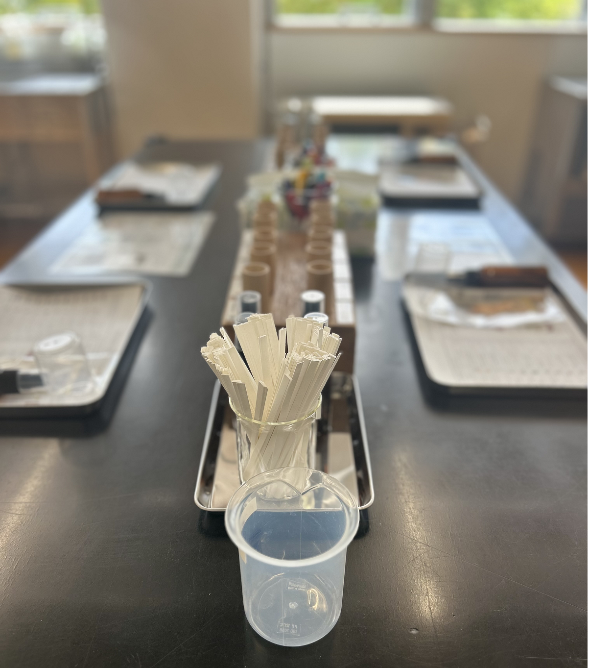 敏感肌の救世主、ナチュの森