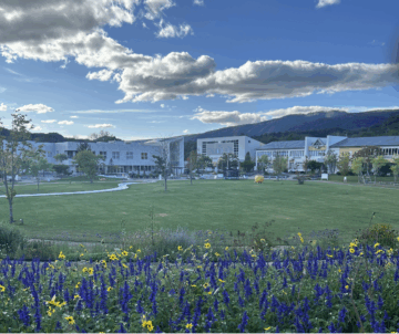 敏感肌の救世主、ナチュの森