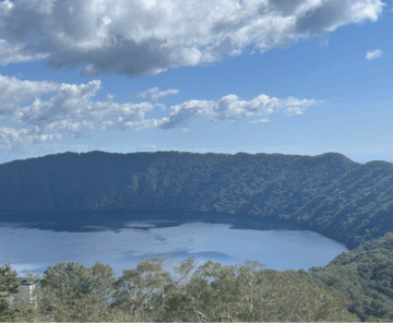 敏感肌の救世主、ナチュの森