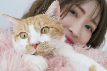 紗栄子と猫
