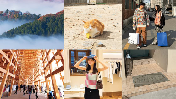 何度でも行きたい！本当によかったお出かけスポットを厳選【2025-26推し総決算】