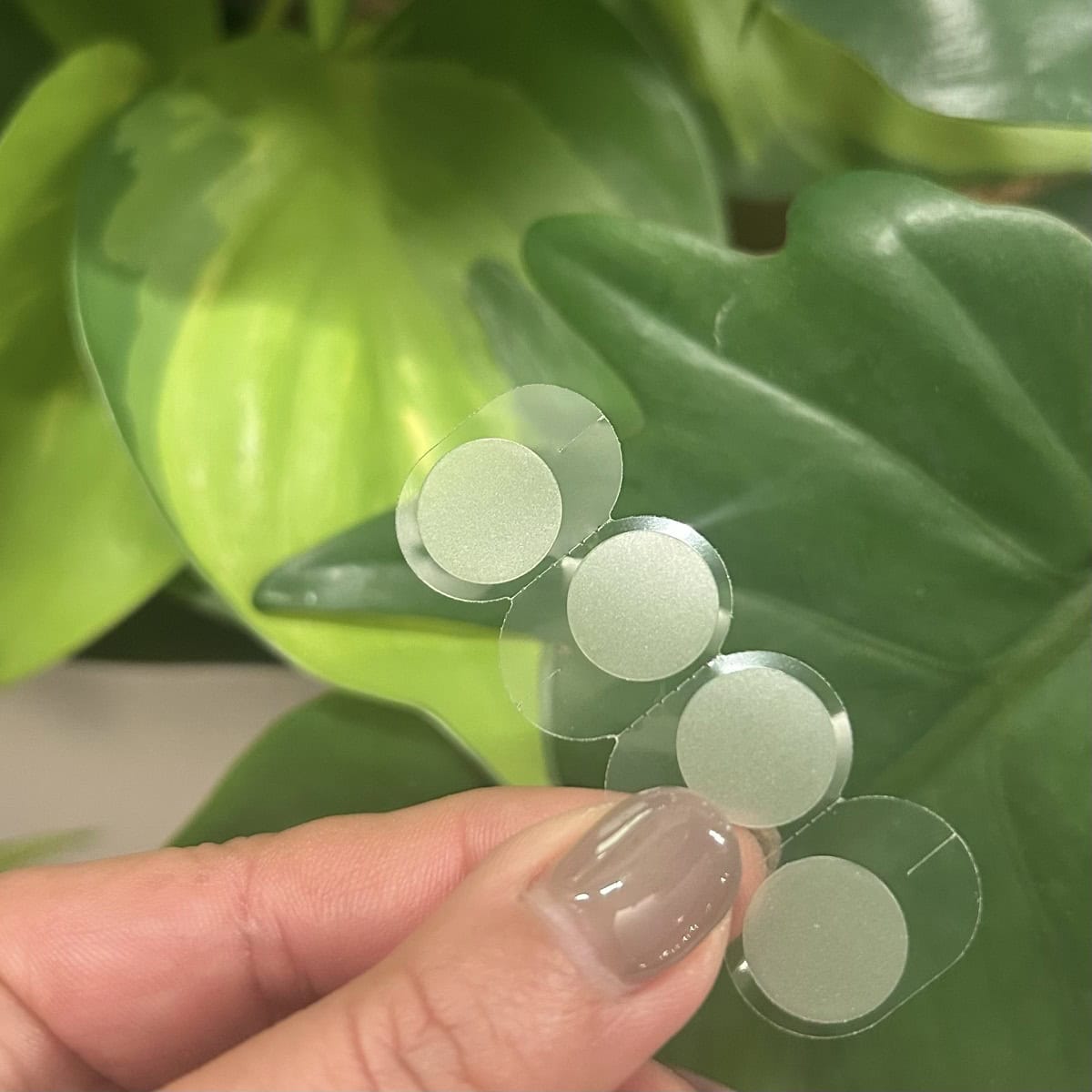 バンドエイド顔用パッチ