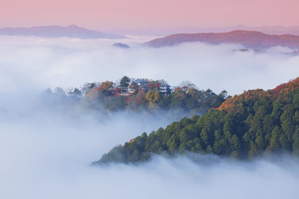 推し備中松山城