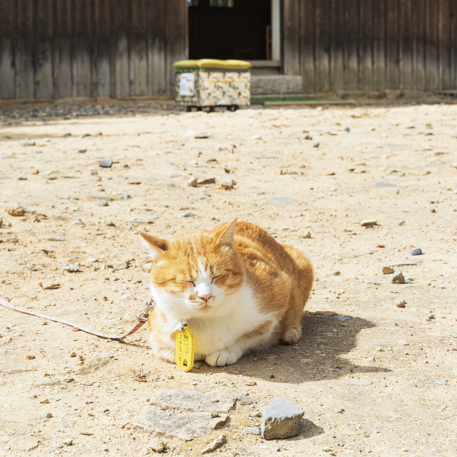 推し備中松山城